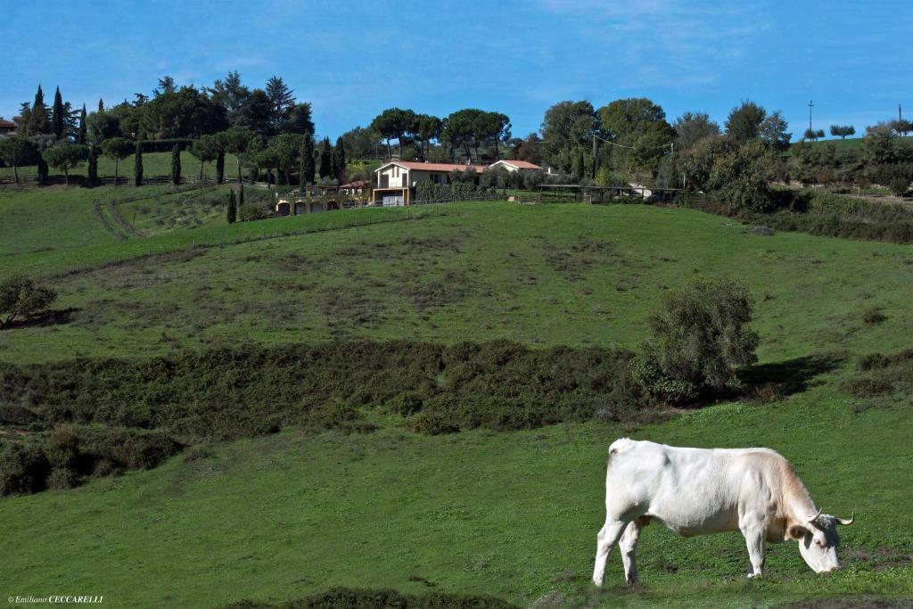 Agriturismo Valle Siriaca Кастельнуово-ди-Порто Экстерьер фото